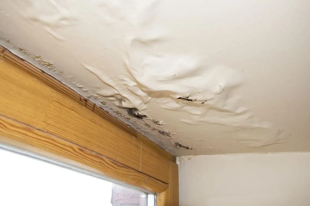 Water Leakage Repair